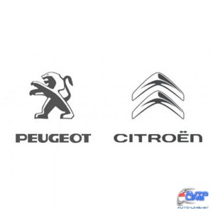 Мультимедийный видео интерфейс Gazer VI700S-MRN (Citroen/Peugeot)