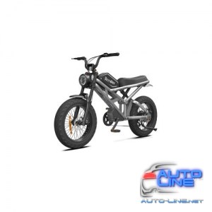 Электровелосипед Rooder 1000W, 48V25Ah, Silver (4825Sl)