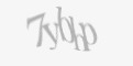 Защитный код