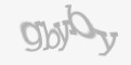 Защитный код