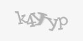 Защитный код