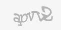 Защитный код