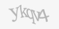 Защитный код