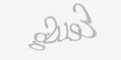 Защитный код