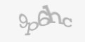 Защитный код