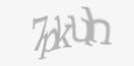 Защитный код