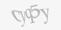 Захисний код