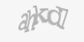 Захисний код