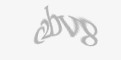 Захисний код