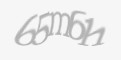 Захисний код