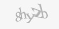 Захисний код